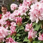 Familiale Au Prieure Avec Acces Parc Et Grandes - Fr-1-589-736 Bed & Breakfast