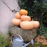 Familiale Au Prieure Avec Acces Parc Et Grandes - Fr-1-589-736 3* Aydoilles