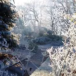 Bed & Breakfast Familiale Au Prieure Avec Acces Parc Et Grandes - Fr-1-589-736