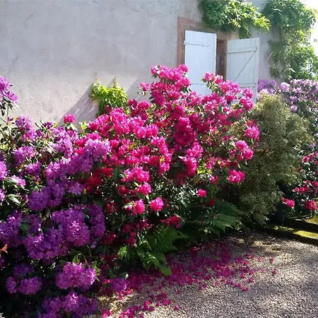 Familiale Au Prieure Avec Acces Parc Et Grandes - Fr-1-589-736 *