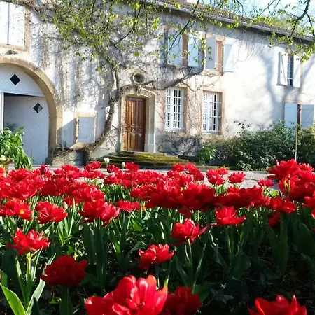 Familiale Au Prieure Avec Acces Parc Et Grandes 3* Aydoilles
