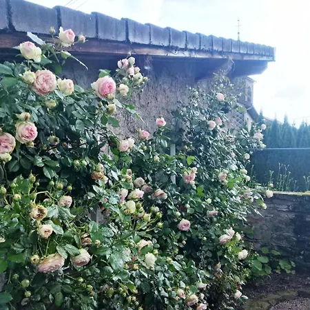 Familiale Au Prieure Avec Acces Parc Et Grandes - Fr-1-589-736