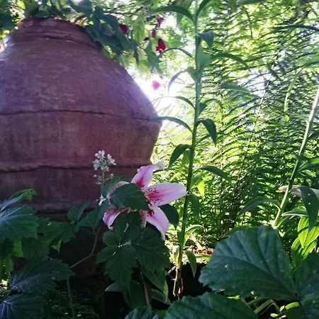 Bed & Breakfast Familiale Au Prieure Avec Acces Parc Et Grandes - Fr-1-589-736 Aydoilles