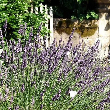 Familiale Au Prieure Avec Acces Parc Et Grandes - Fr-1-589-736 3*