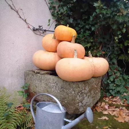 Familiale Au Prieure Avec Acces Parc Et Grandes - Fr-1-589-736 3* Aydoilles