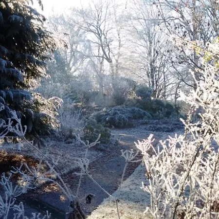 Bed & Breakfast Familiale Au Prieure Avec Acces Parc Et Grandes - Fr-1-589-736