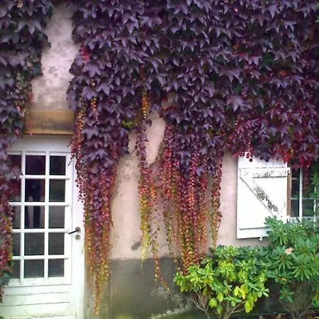 Familiale Au Prieure Avec Acces Parc Et Grandes - Fr-1-589-736 Bed & Breakfast