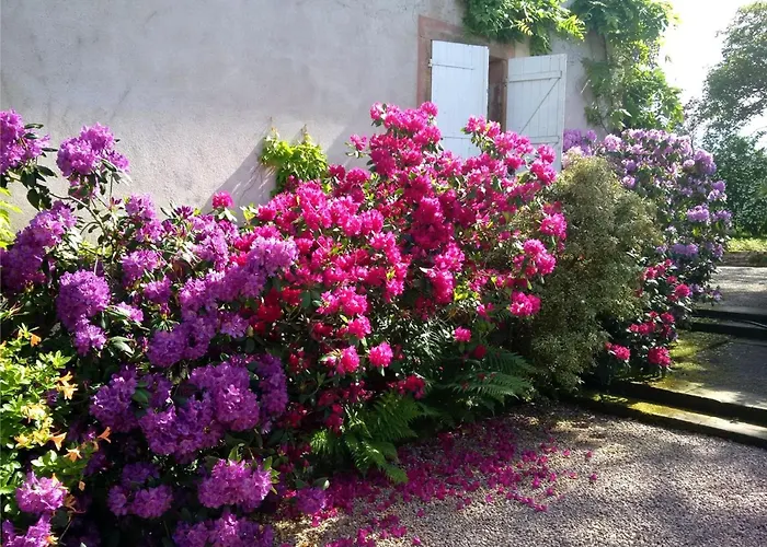 Familiale Au Prieure Avec Acces Parc Et Grandes - Fr-1-589-736 3*