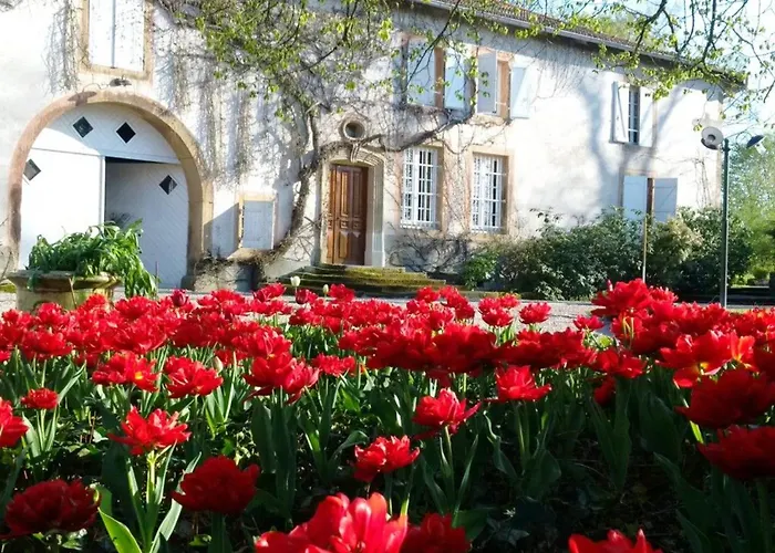 Familiale Au Prieure Avec Acces Parc Et Grandes - Fr-1-589-736 3* Aydoilles