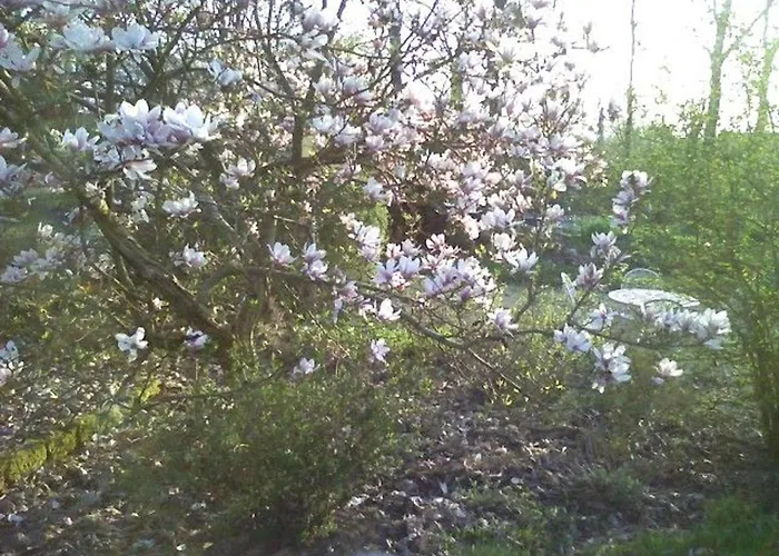 Familiale Au Prieure Avec Acces Parc Et Grandes - Fr-1-589-736 3* Aydoilles