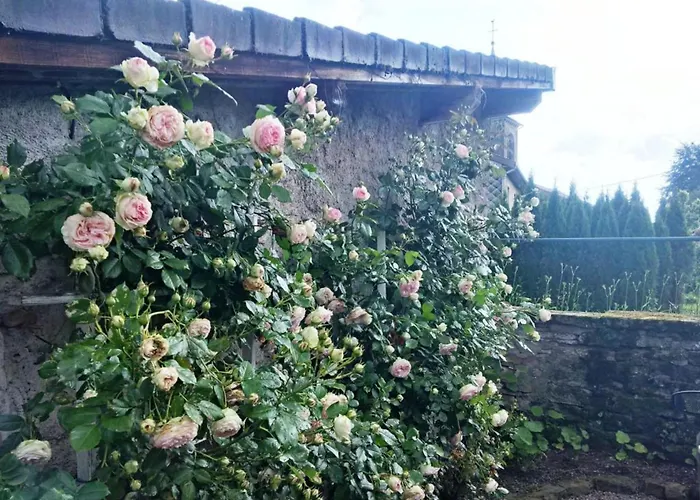 Familiale Au Prieure Avec Acces Parc Et Grandes - Fr-1-589-736