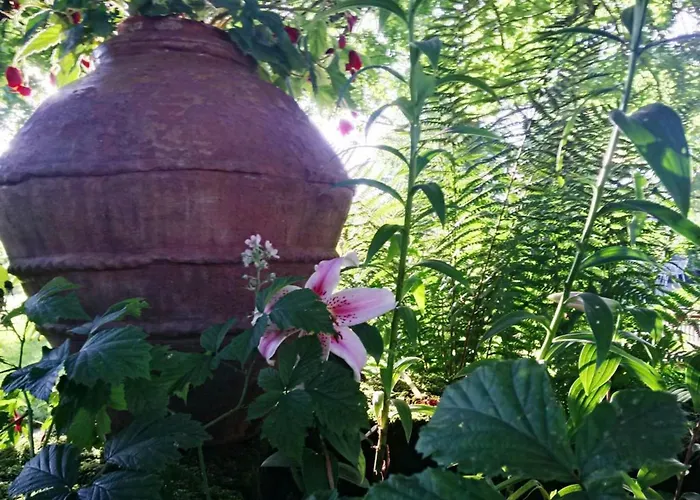 Bed & Breakfast Familiale Au Prieure Avec Acces Parc Et Grandes - Fr-1-589-736 Aydoilles