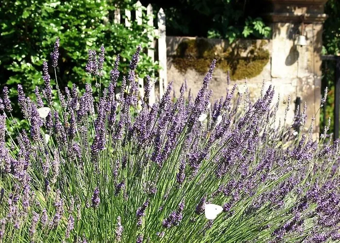 Familiale Au Prieure Avec Acces Parc Et Grandes - Fr-1-589-736 3*